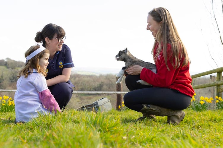 Marie Curie Name the goat photoshoot at Pennywell Farm near Buckfastleigh, Devon