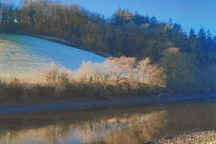 Frosty Morning James Miller