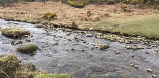 Police arrest five and seize drugs at illegal rave