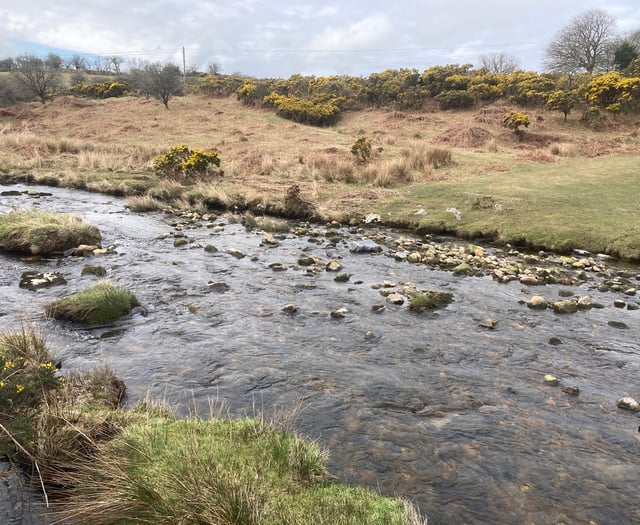 Police arrest five and seize drugs at illegal rave