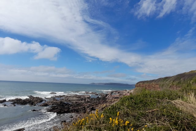 Discover invertebrates on South West coast walk