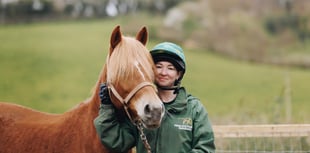 Eva Novi's 10,000ft skydive for Devon's equine charity