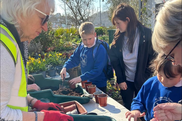 Schoolchildren plant sunflowers