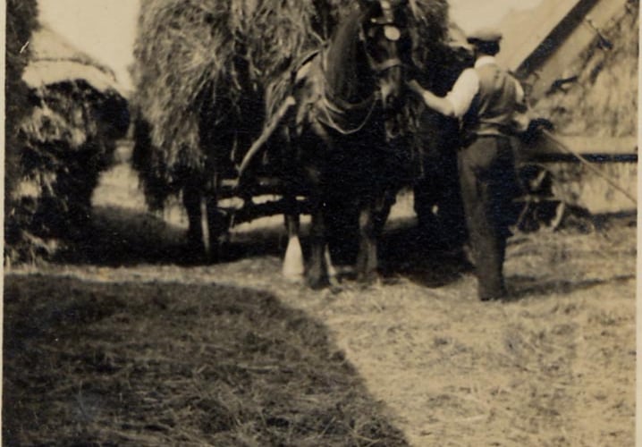 Man and horse with hay cart loaded with hay at Folly Farm, Bigbury around 1930 to 1940