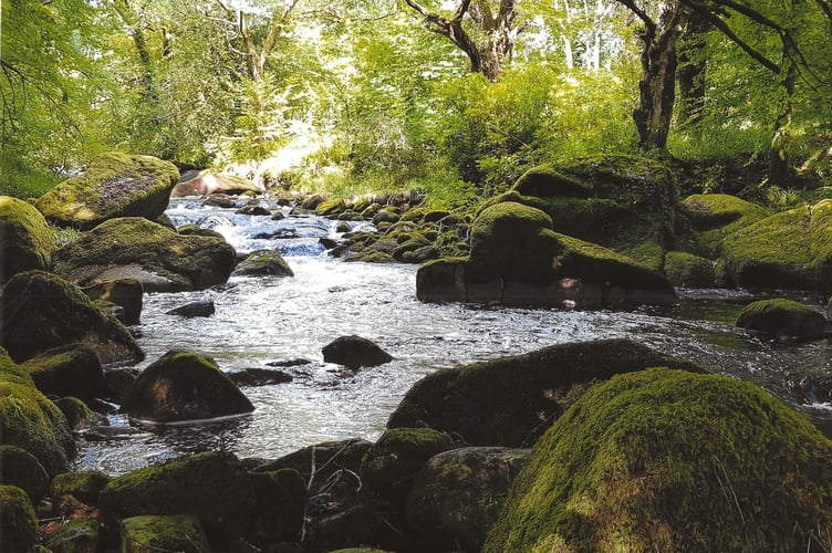 River Erme  - James Miller