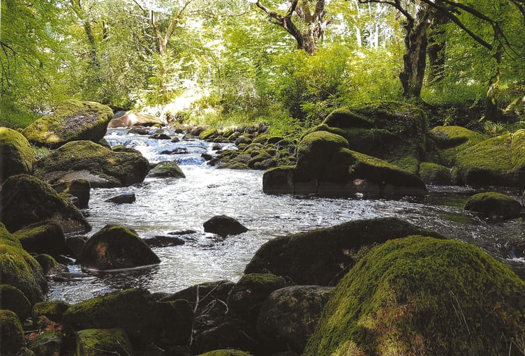 River Erme - James Miller