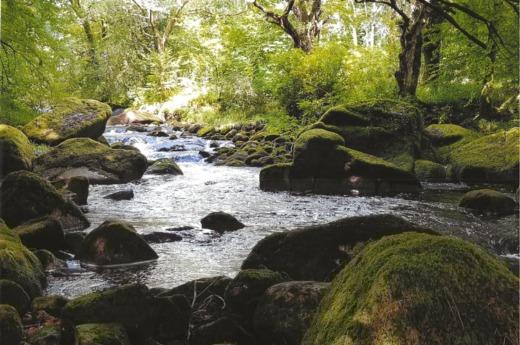 James Miller - River boulders