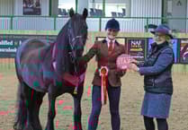 Devon Riders Qualify for HOYS