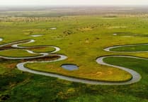 Caroline Snow | The restorative power of nature