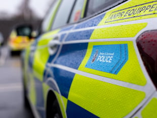 Police seek information on Ivybridge burglary