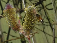Nature through the lens with photography competition
