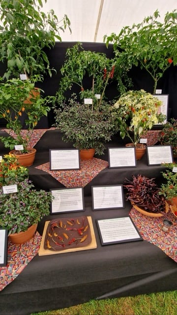 South Devon Chilli Farm RHS Malvern Display