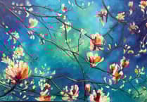 Aperture of Dreams at The Brownston Gallery, Modbury until June 20