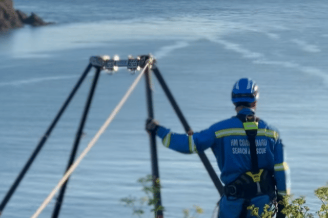 Dolphins surprise coastguard training