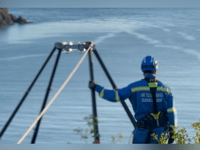 Dolphins surprise coastguard training