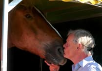 Martin Clunes opens horse event at Devon County Show