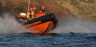 Hope Cove Lifeboat rescues dog from Broadsands Beach cliff fall