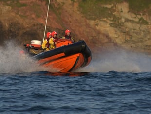 Hope Cove Lifeboat rescues dog from Broadsands Beach cliff fall