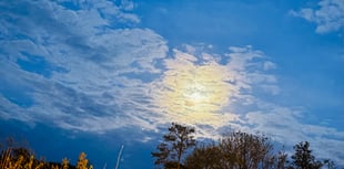 Letters to the Editor | May 29 