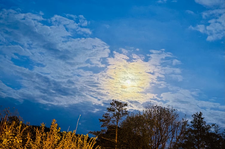 Sunset in Littlehempston - Carolyn Norris