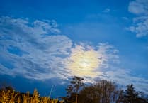 Letters to the Editor | May 29