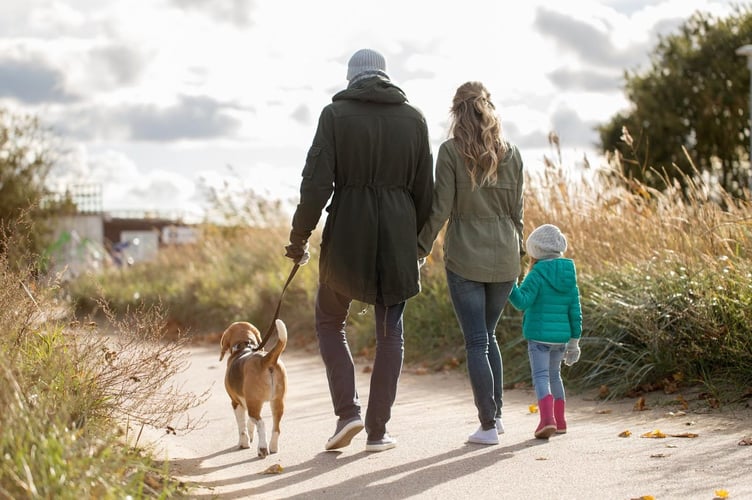 dog and family