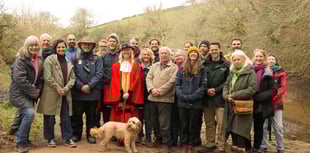 Longmarsh Saltmarsh Boardwalk unveiled: New circular walk opens