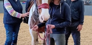 Erme Valley Riding for the Disabled seeks volunteers 