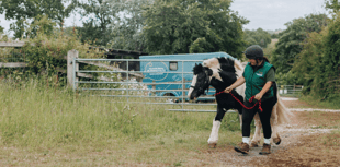 Pony with collar embedded into skin starts new life at rescue centre