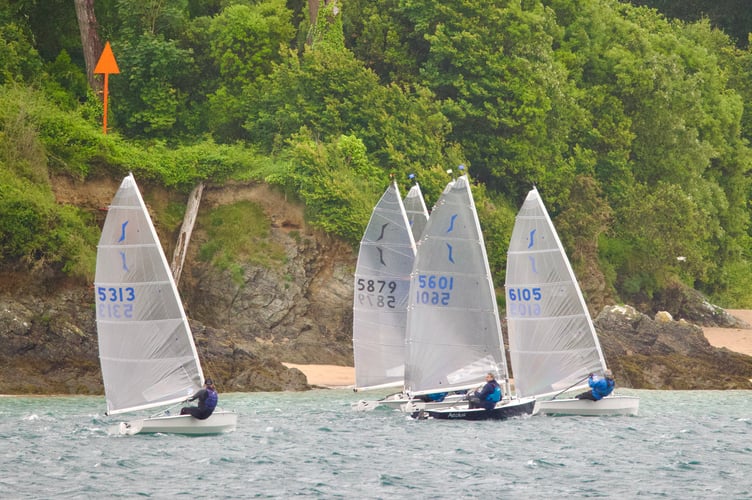 SYC Sailing Club Series- final race, solo.