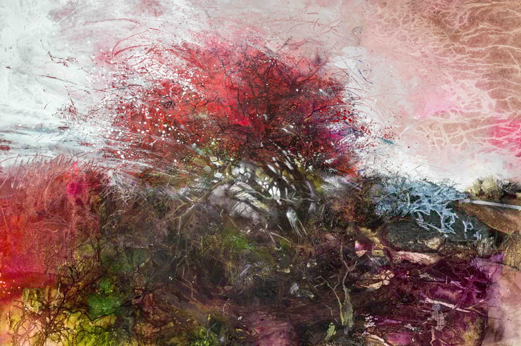 Dartmoor Hawthorn by Ann Blockley