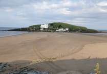 Nature Diary by Alice Henderson  | Exploring Bigbury on Sea - Part 2