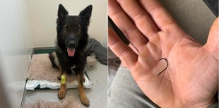 Beloved dog swallows fish hook in Bakers Park