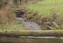 Caroline Snow | Film highlights work of Dartmoor farmers