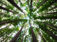 Young Explorers invited to discover green to blue nature spaces