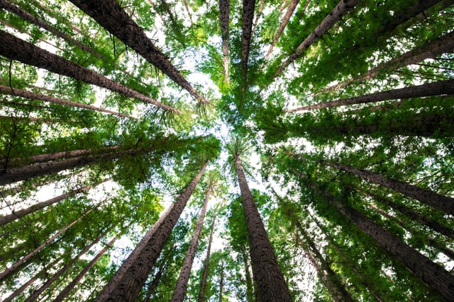 Young Explorers invited to discover green to blue nature spaces