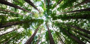 Young Explorers invited to discover green to blue nature spaces