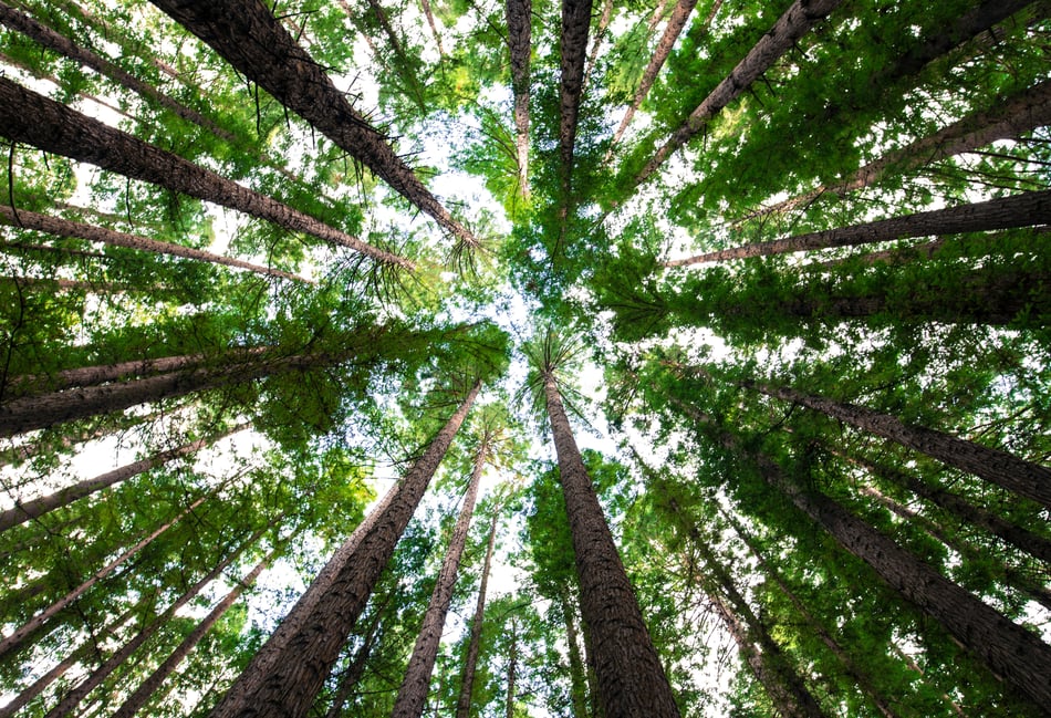 Young Explorers invited to discover green to blue nature spaces