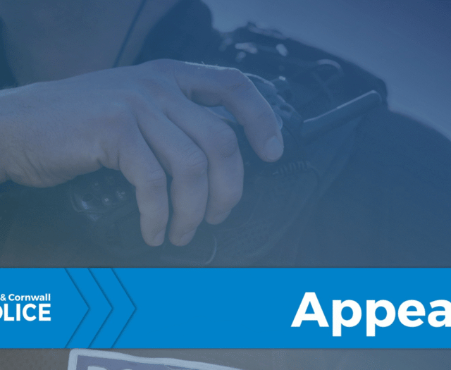 APPEAL: Police looking for witnesses to incident in Plymouth
