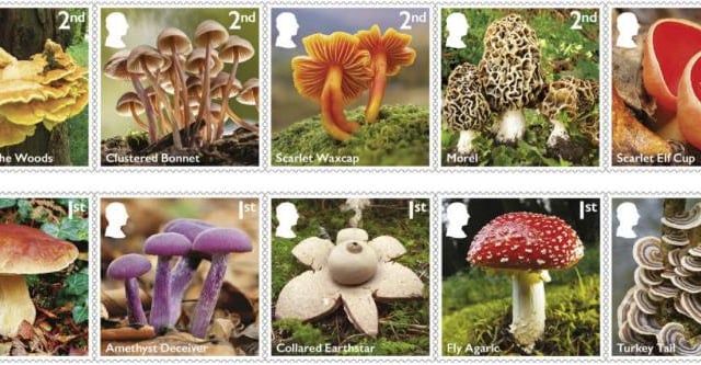 Stamps showcasing the magic of mushrooms