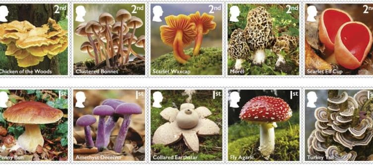 Royal Mail mushroom stamp reveal