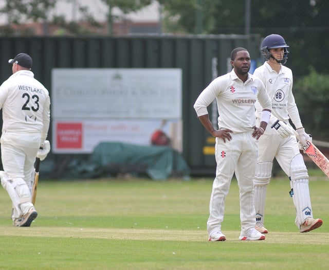 Kingsbridge openers both contribute centuries