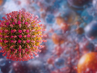 Parents urged to vaccinate children against measles 