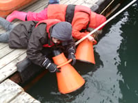 Nature Diary by Nigel Mortimer | Shaping the future of estuaries