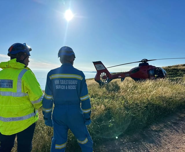 Air ambulance in coastal rescue