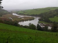 Pollution alert for River Dart swimmers