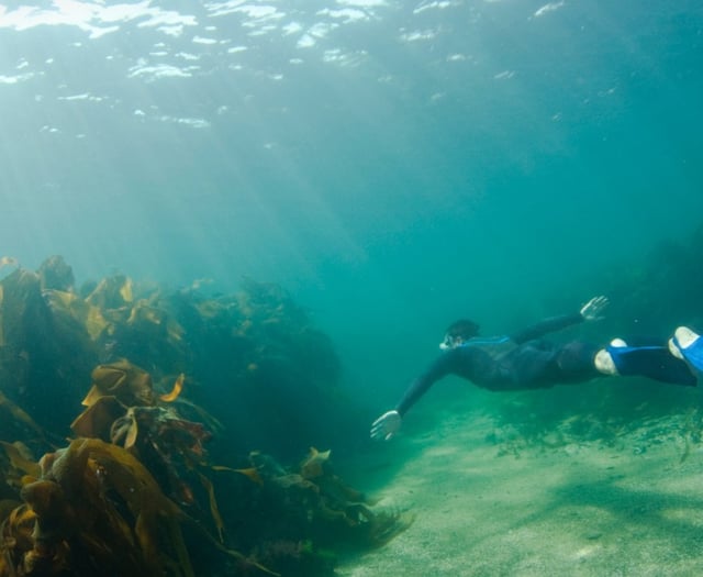Marine conservation funding open for applications