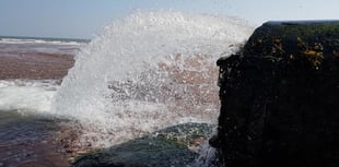 Councillor slams payout idea as water boss quits