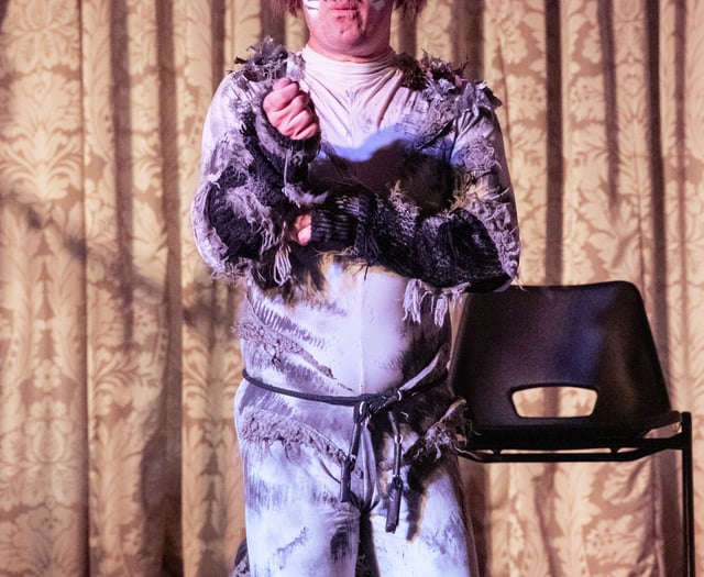 Totnes Fringe: South Devon's arts triumph