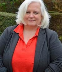 Plymouth councillors face online abuse